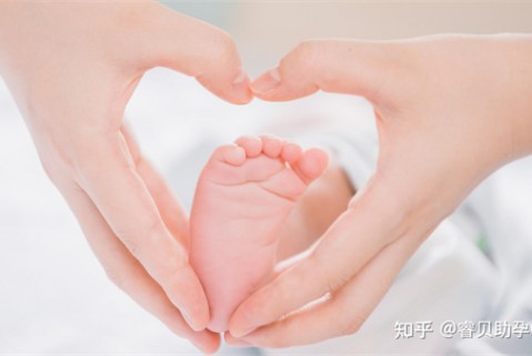 http://lanzhou.51dzb.net/post/188.html|兰州新闻中心